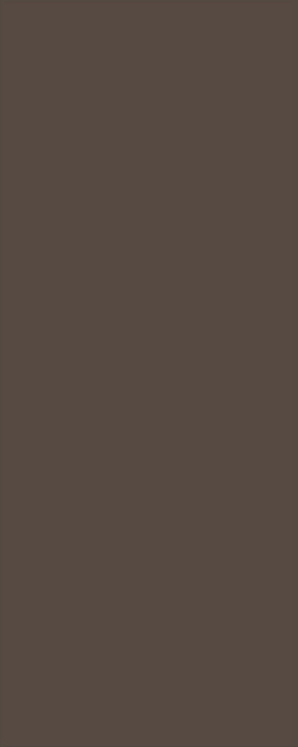 6mm Colours Pantone Brown