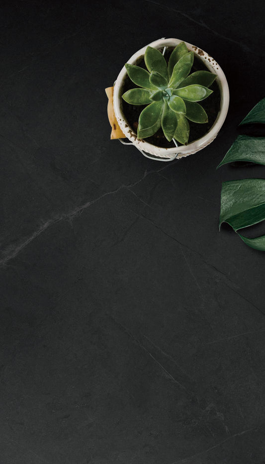 Polar Black sand